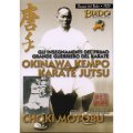 LIBRO DI CHOKI MOTOBU: OKINAWA KEMPO KARATE JUTSU